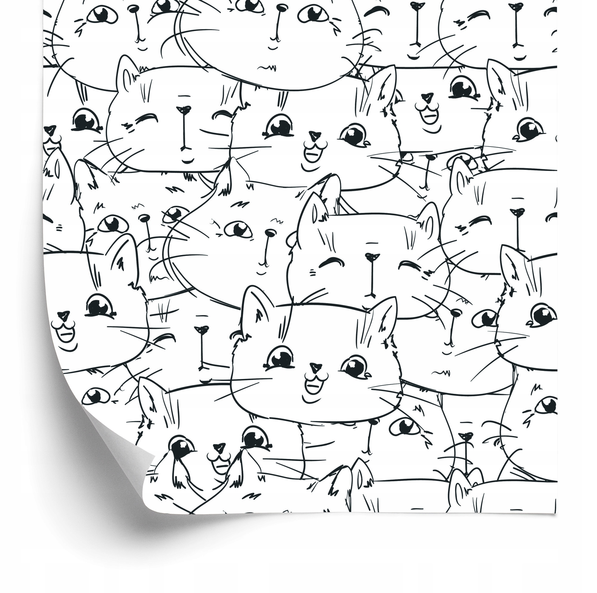 Tapeta pro děti Malé koťátka 50 x 1000 cm