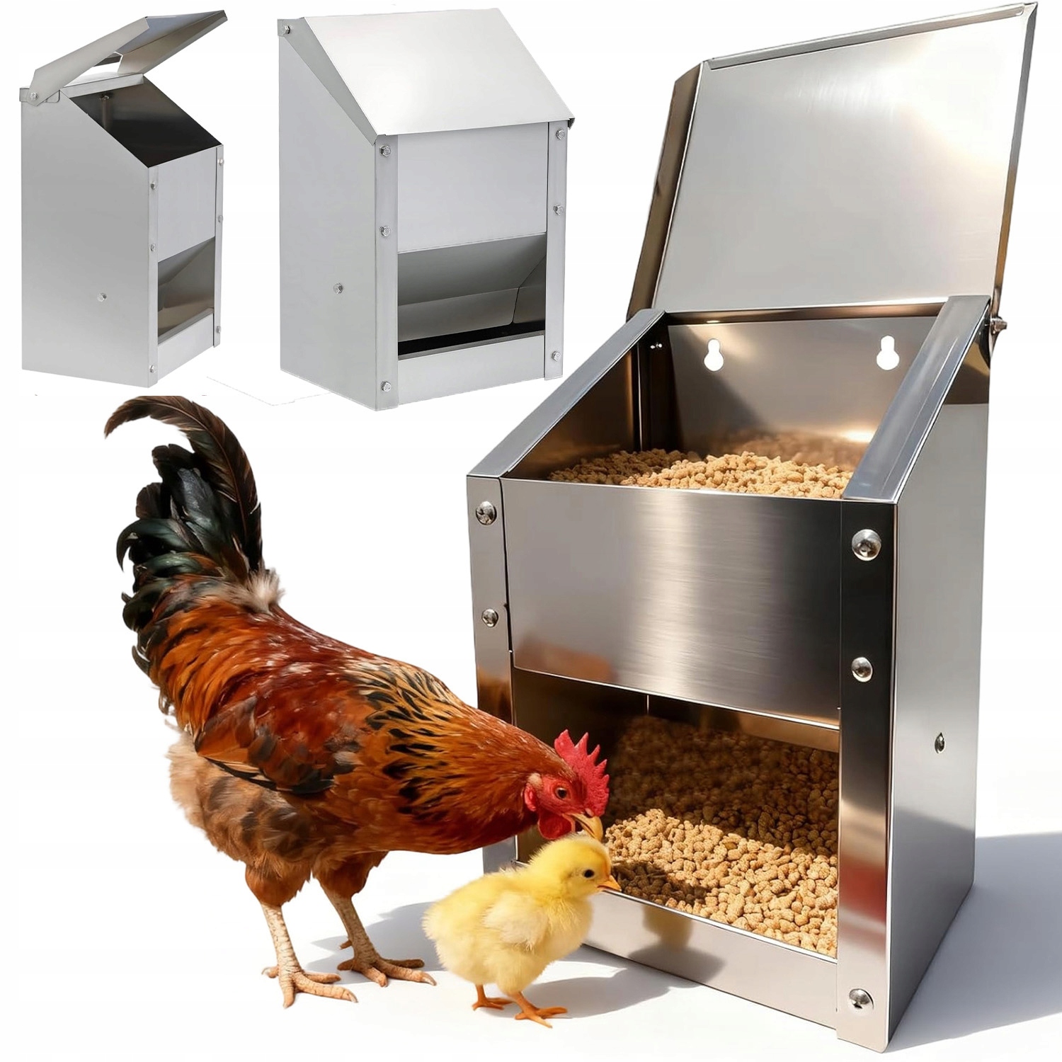 Krmítko Pro Drůbež Z Nerezové Oceli S Klopou Pro Kuřata A Kachny