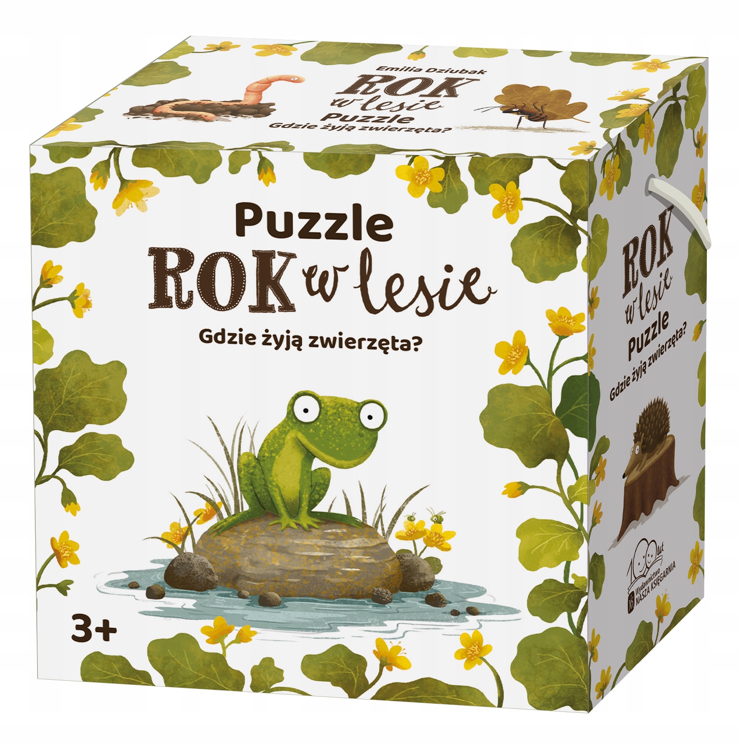 

Rok w lesie. Gdzie żyją zwierzęta
