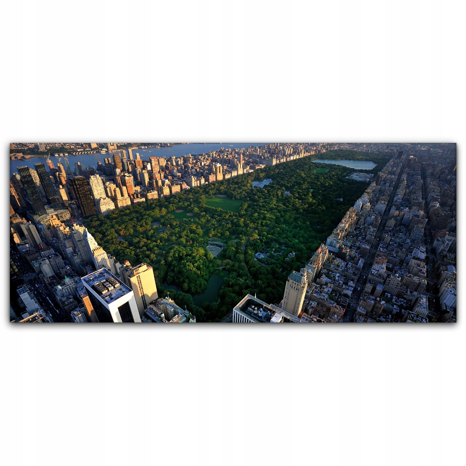 

Fotoobraz na płótnie 125x50 Park Centralny Miasto