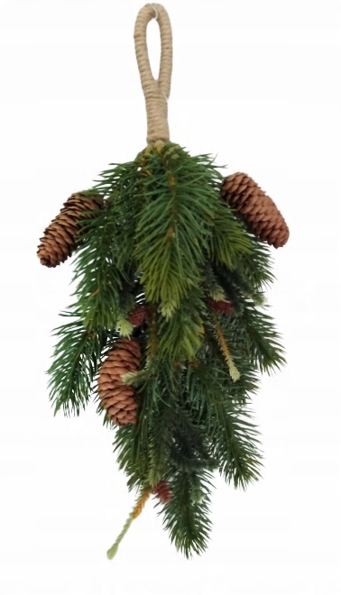 

Gałązka wisząca Tuja z przyrostami szyszka 42 cm