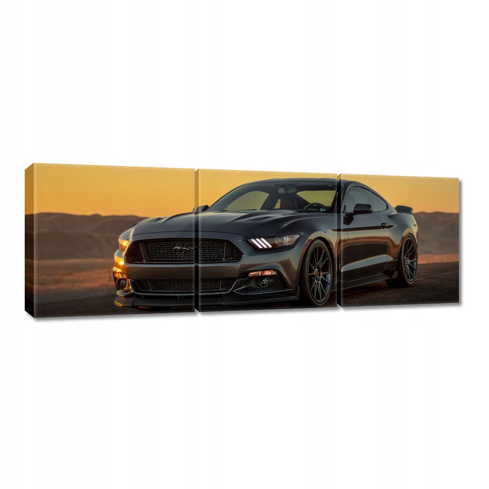 

Obrazy 150x50 Ford Mustang made in Usa