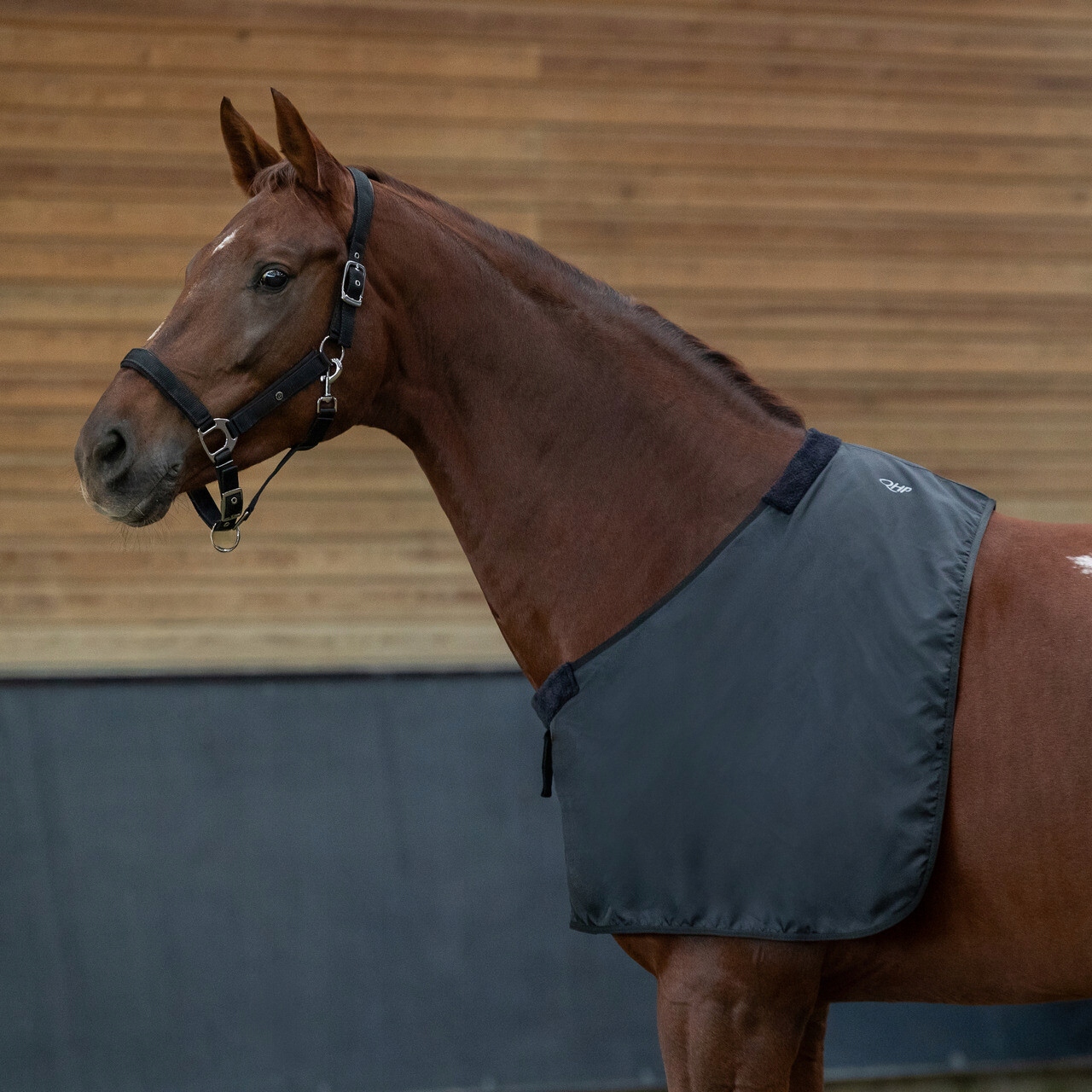 Qhp koszulka ochraniacz na klatkę dla konia Chest protector soft XL