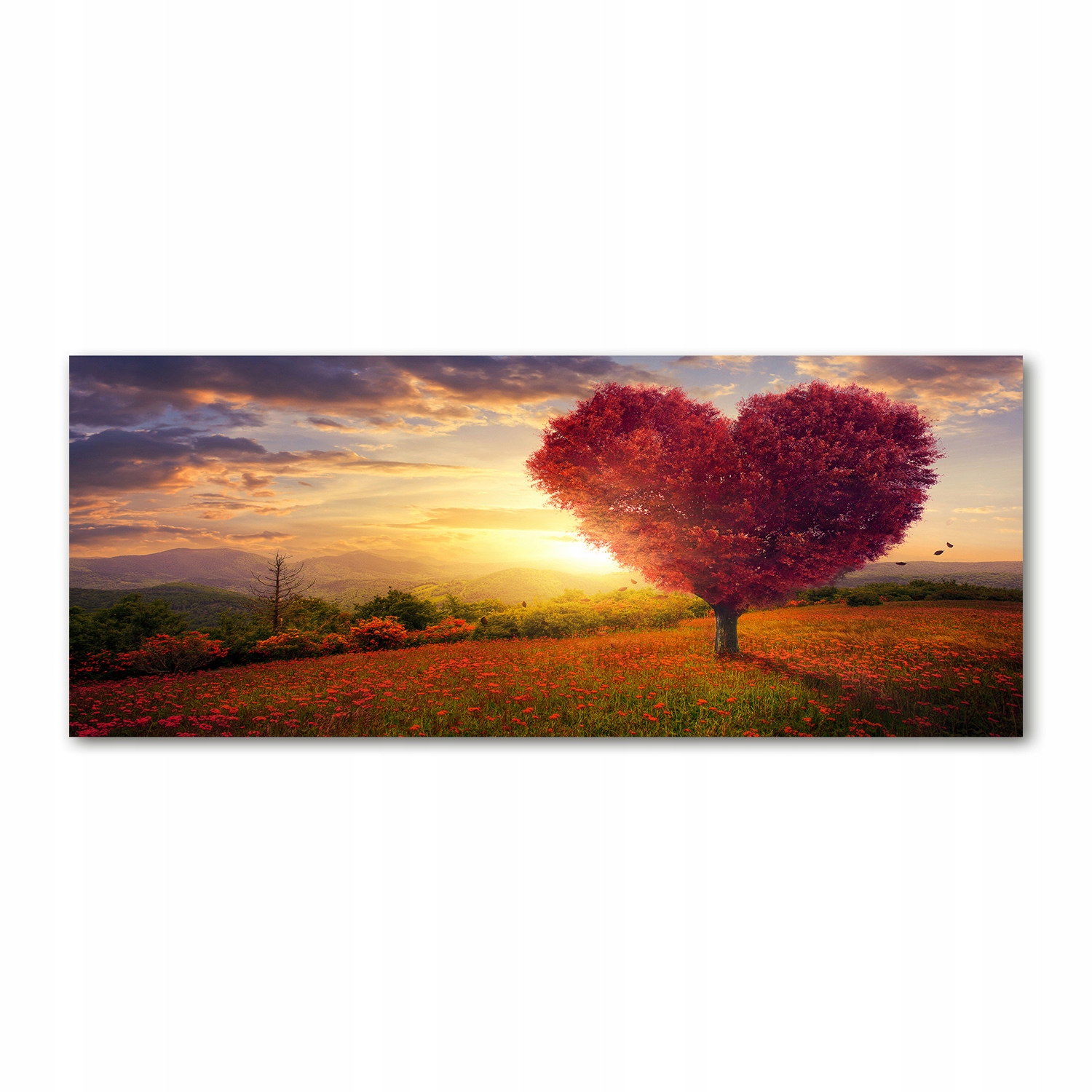 

Foto obraz szkło akryl Drzewo pole serce 125x50 cm