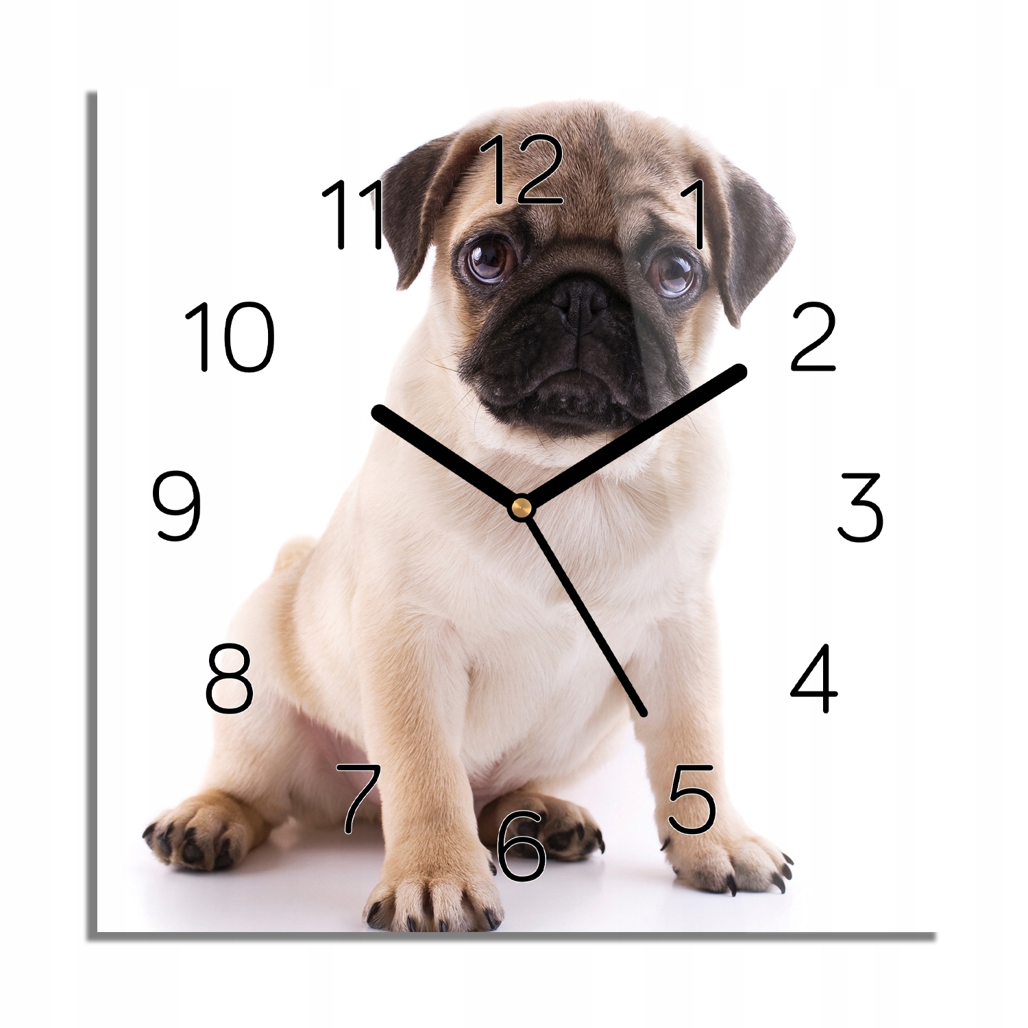 

Mops szczeniak zegar na szkle do biura 30x30 cichy
