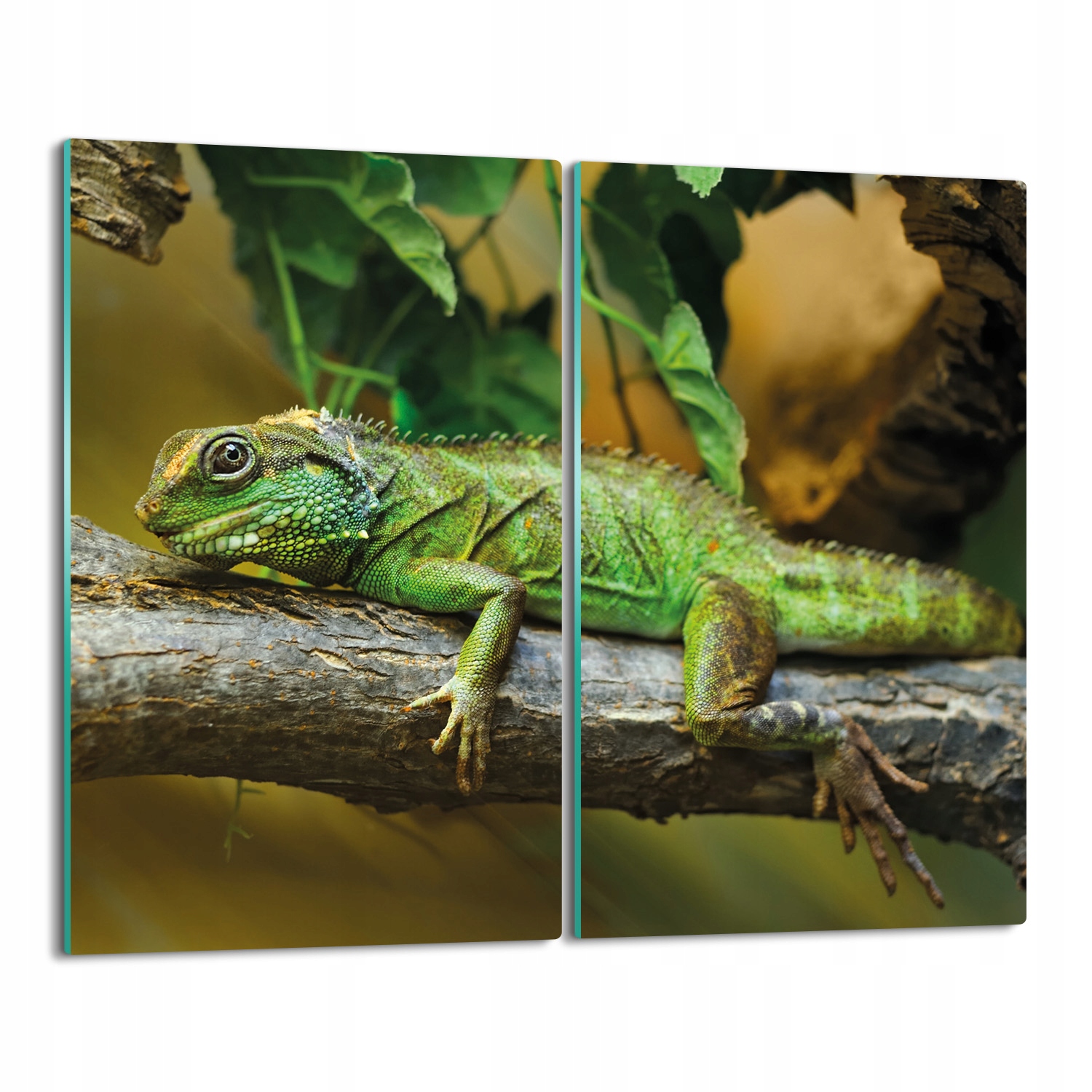 splashback deska tisk Kameleon strom plazů 2x 30x52