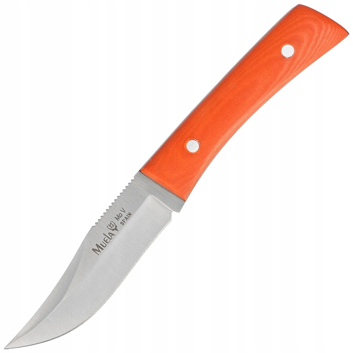 Nůž Muela BWE-8.O Orange Micarta, Satin X50CrMoV15