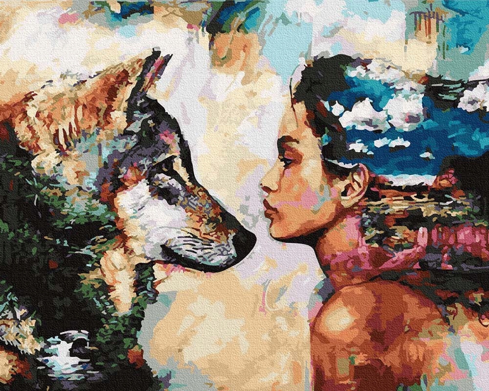 Malování podle čísel iPicasso 50x65 cm na rámu