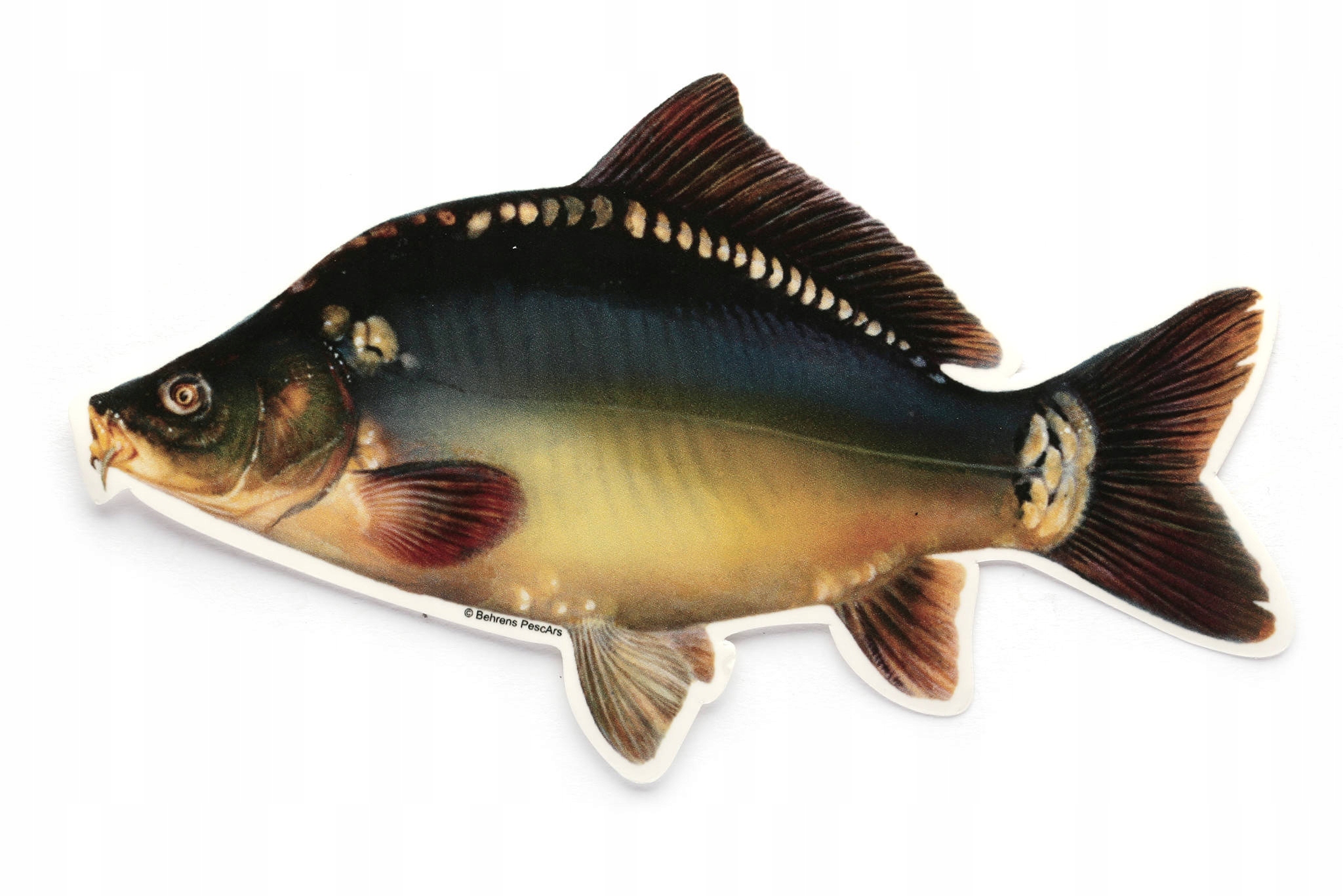 Naklejka Wędkarska Jenzi Karp 15cm