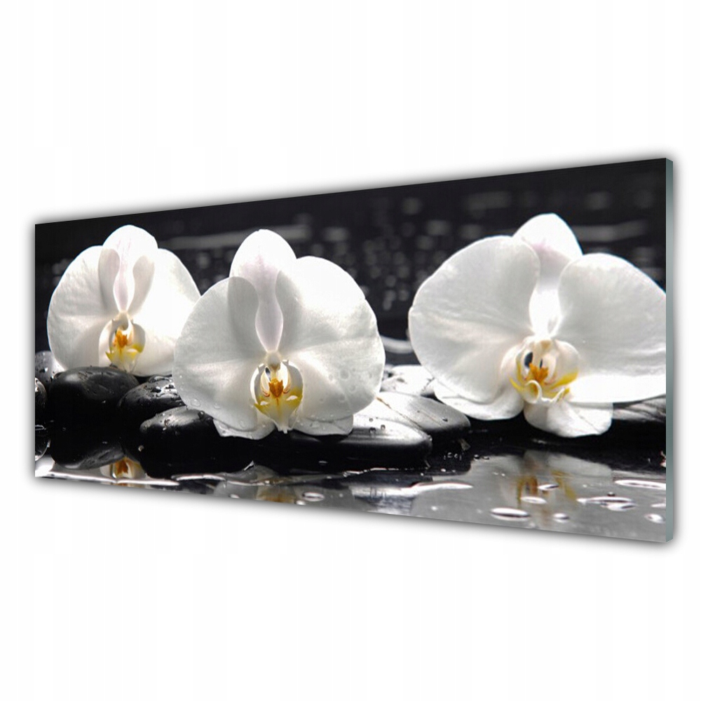 

Obraz akrylowy wiszący 125x50 Kwiat Biała Orchidea