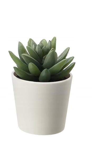 

Ikea Fejka sztuczny sukulent roślinka