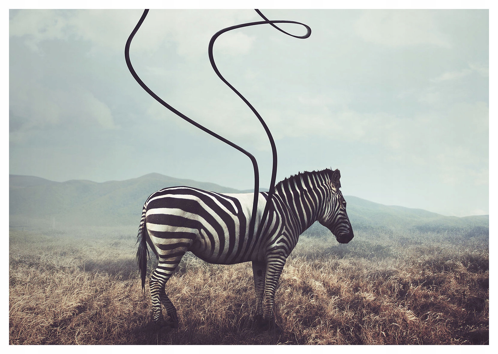 Vliesová fototapeta Zebra Africká Savana Hory 300x210 lepidlo