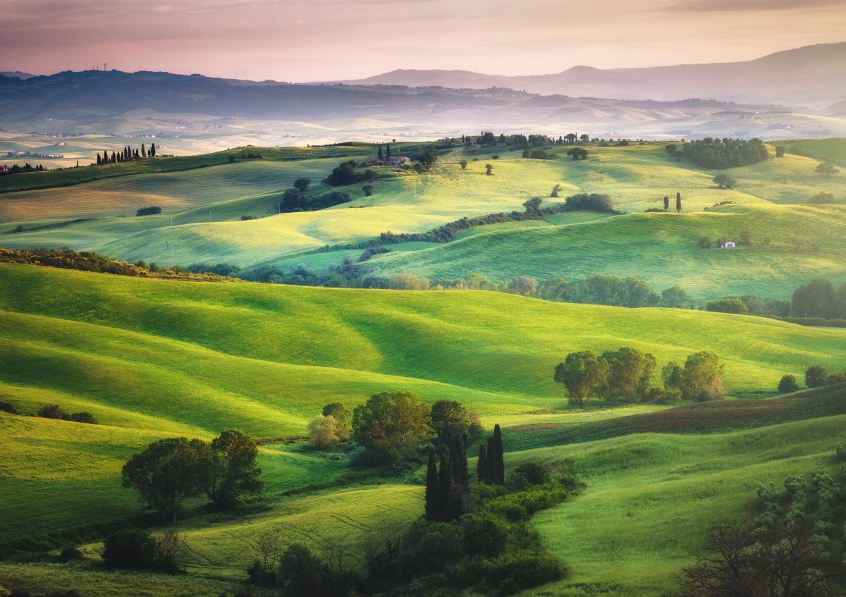 

Fototapeta Flizelinowa Włoskie łąki - 312x219