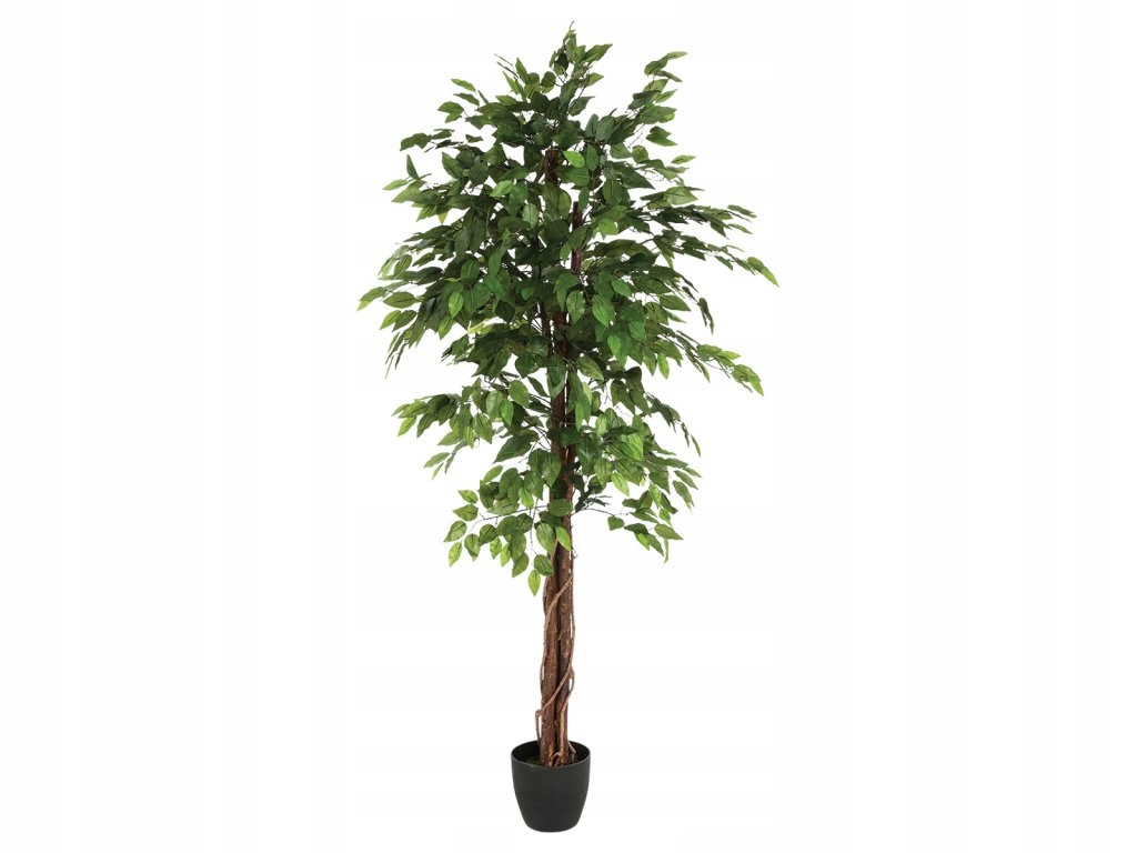 Vysoký umelý fikus s kvetináčom, výška 180 cm
