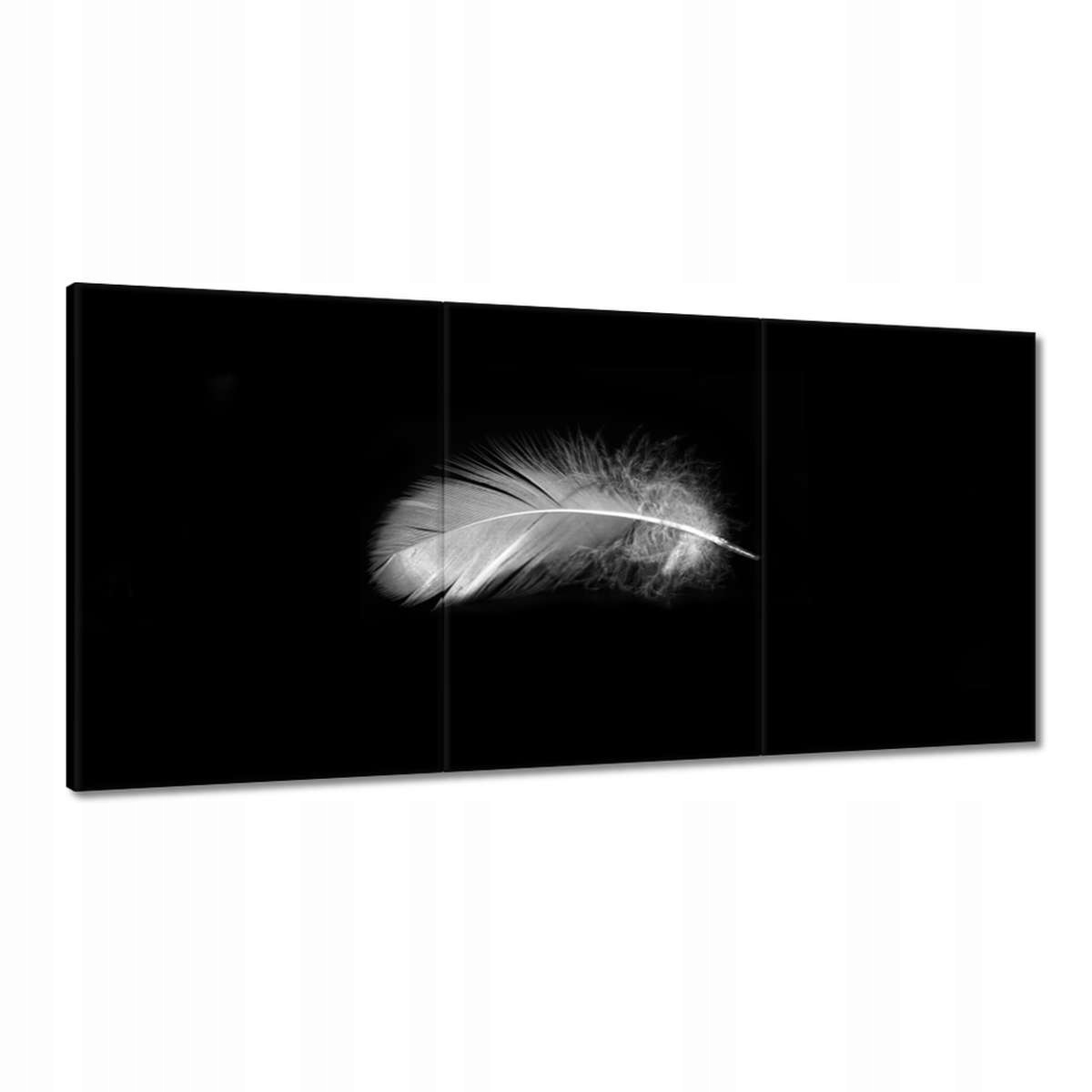 Obrazy 180x90 Jemné pierko Plechovka