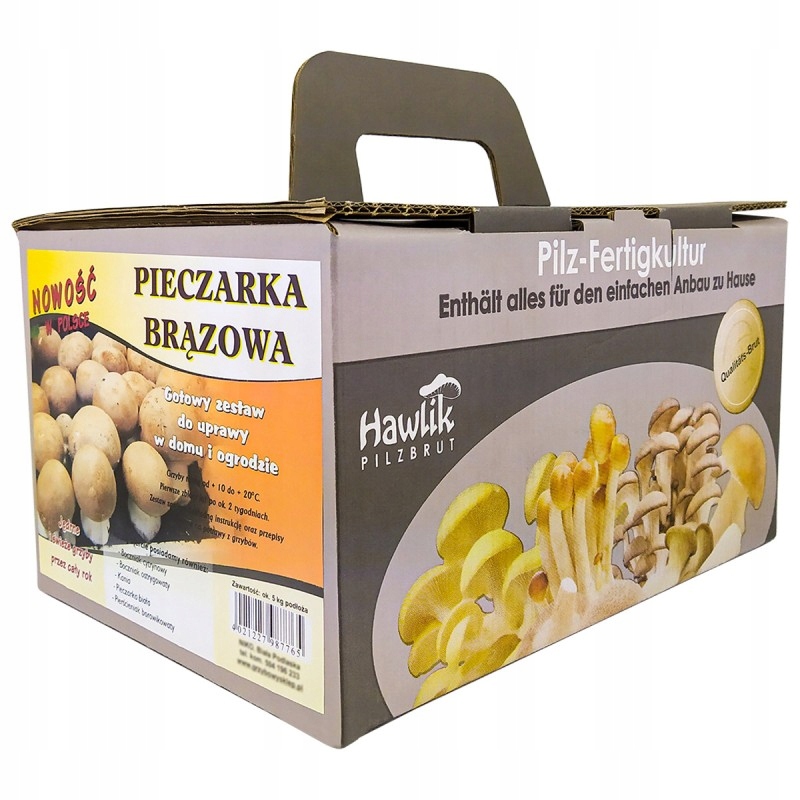 

Pieczarka Brązowa Grzybnia Gotowe Podłoże Hodowla