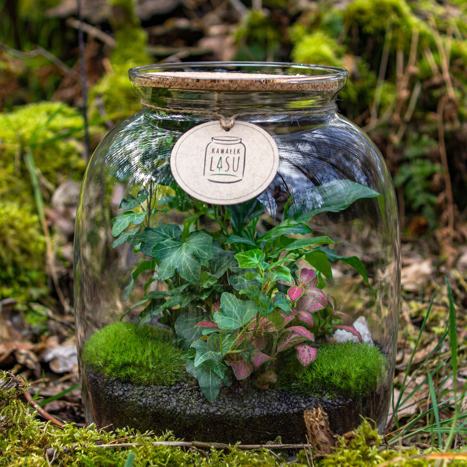 LAS W SŁOIKU - zestaw zrób to sam DIY - 32 CM Marka inny