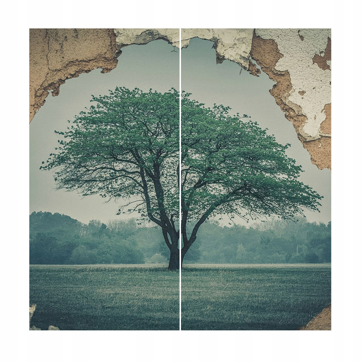 Dizajnová fototapeta na stenu Flizelinová Drevo osamelé 250x250 Lepidlo