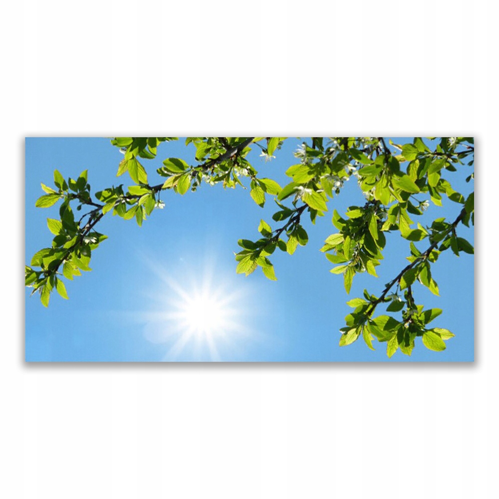

Obraz akryl wiszący na ścianę 120x60 Słońce Natura