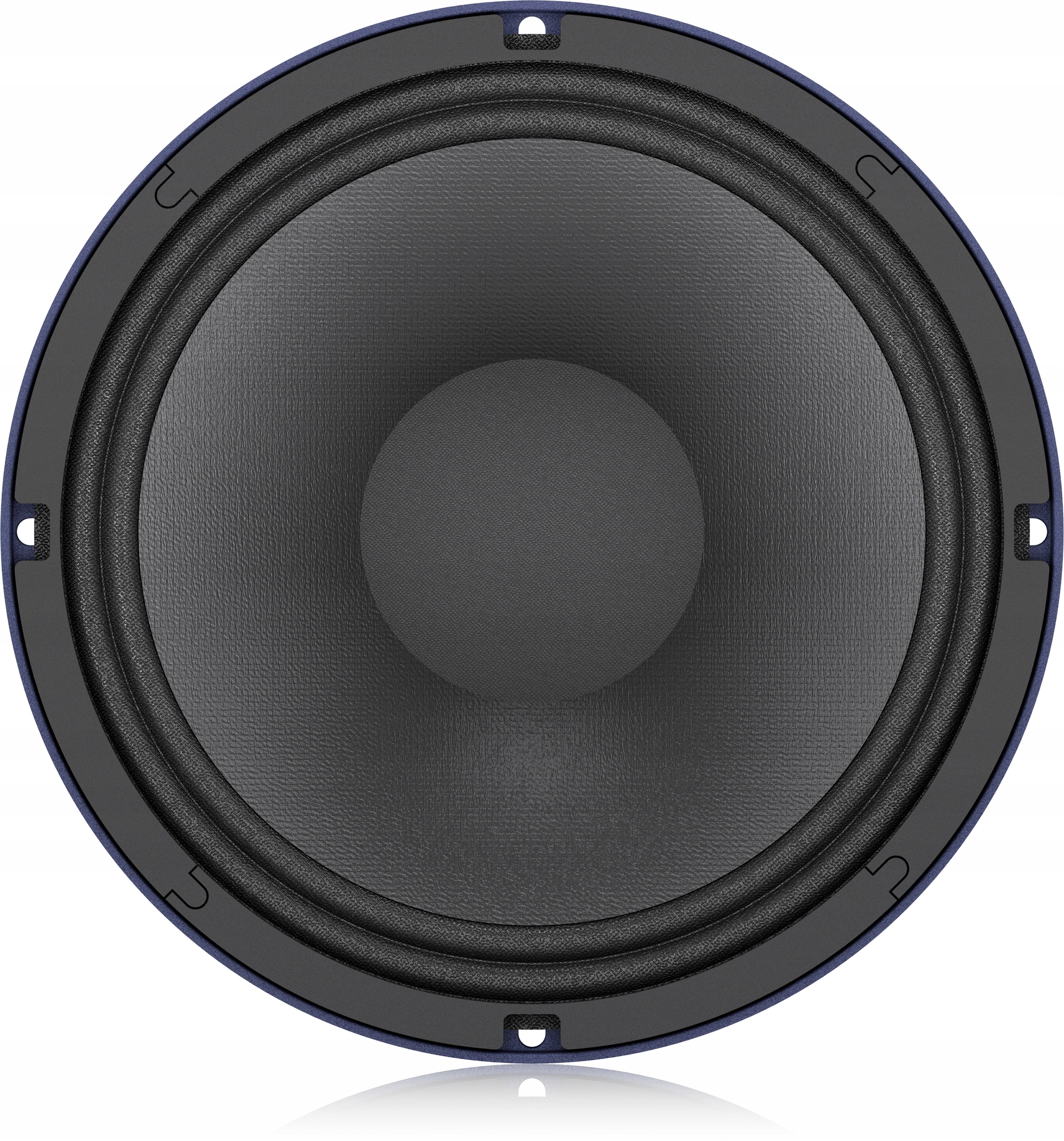 Turbosound TS-10W300/8A – głośnik niskotonowy 10''