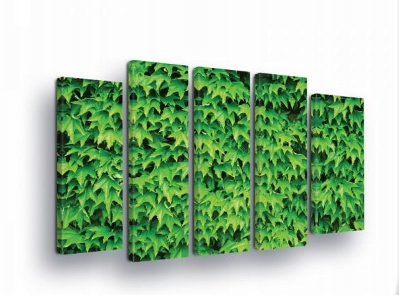 Obraz 150x100 Zelený modulárny brečtan listy príroda sviežosť zelená