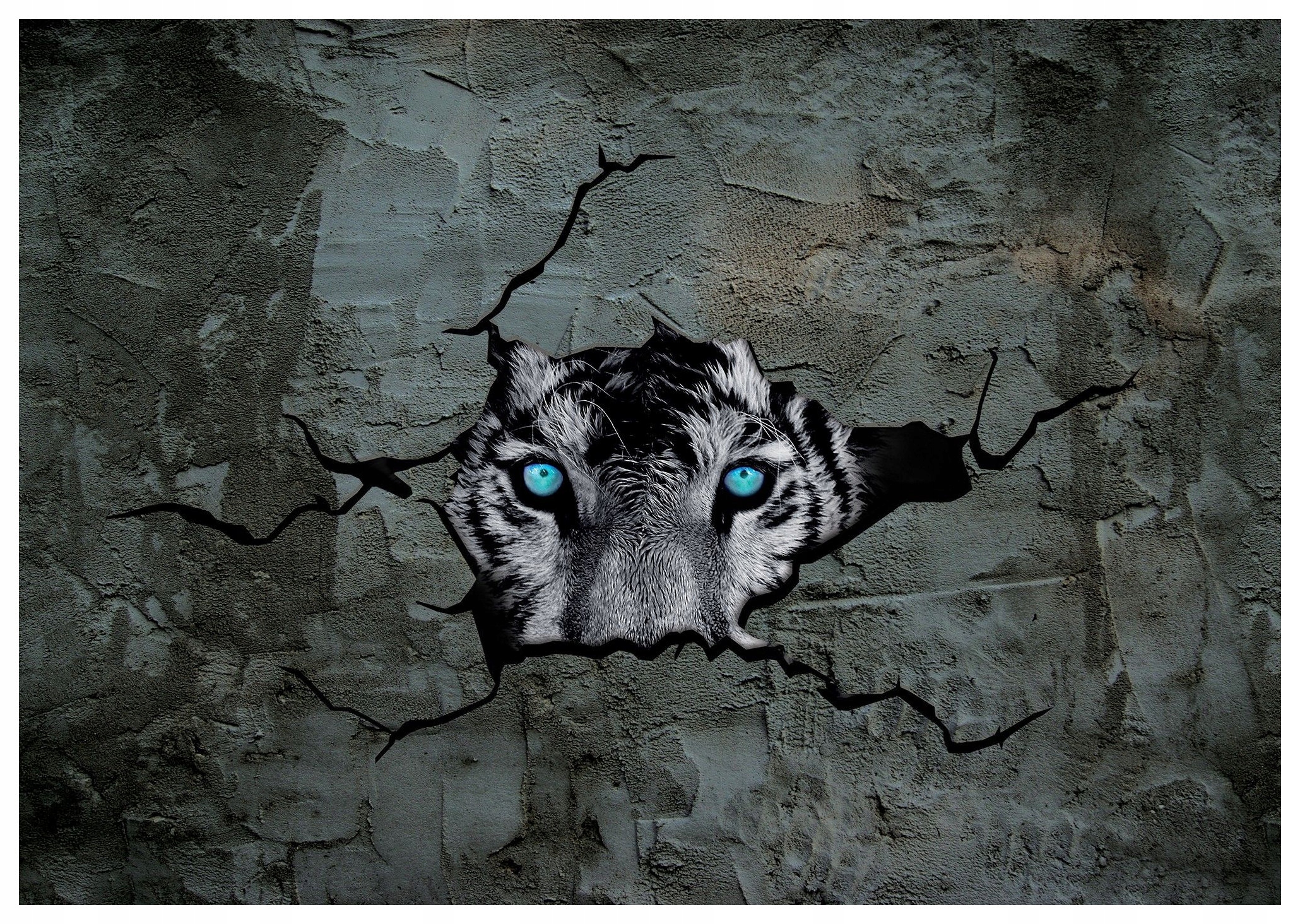 Fototapeta flizelina Bílý tygr přes praskliny 416x254 na zdi lepidlo