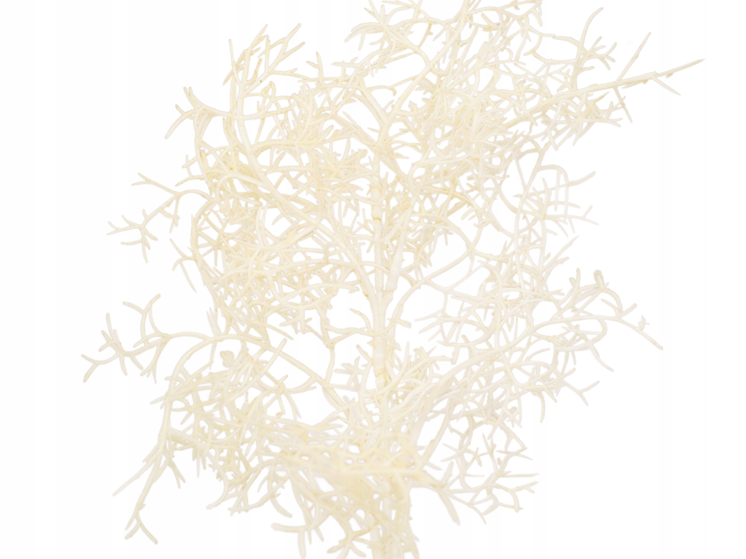 SZTUCZNA GAŁĄZKA KREMOWA ASPARAGUS DO STROIKÓW PIK 38 CM KOMPOZYCJI FLORET Typ inny