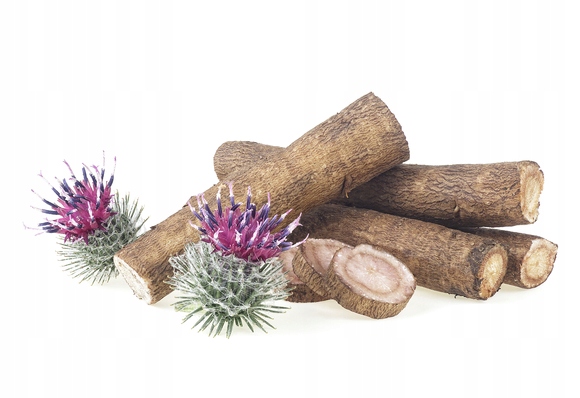 Equiherbs Łopian Korzeń wspomaga trawienie i oczyszcza dla koni horse 1 kg