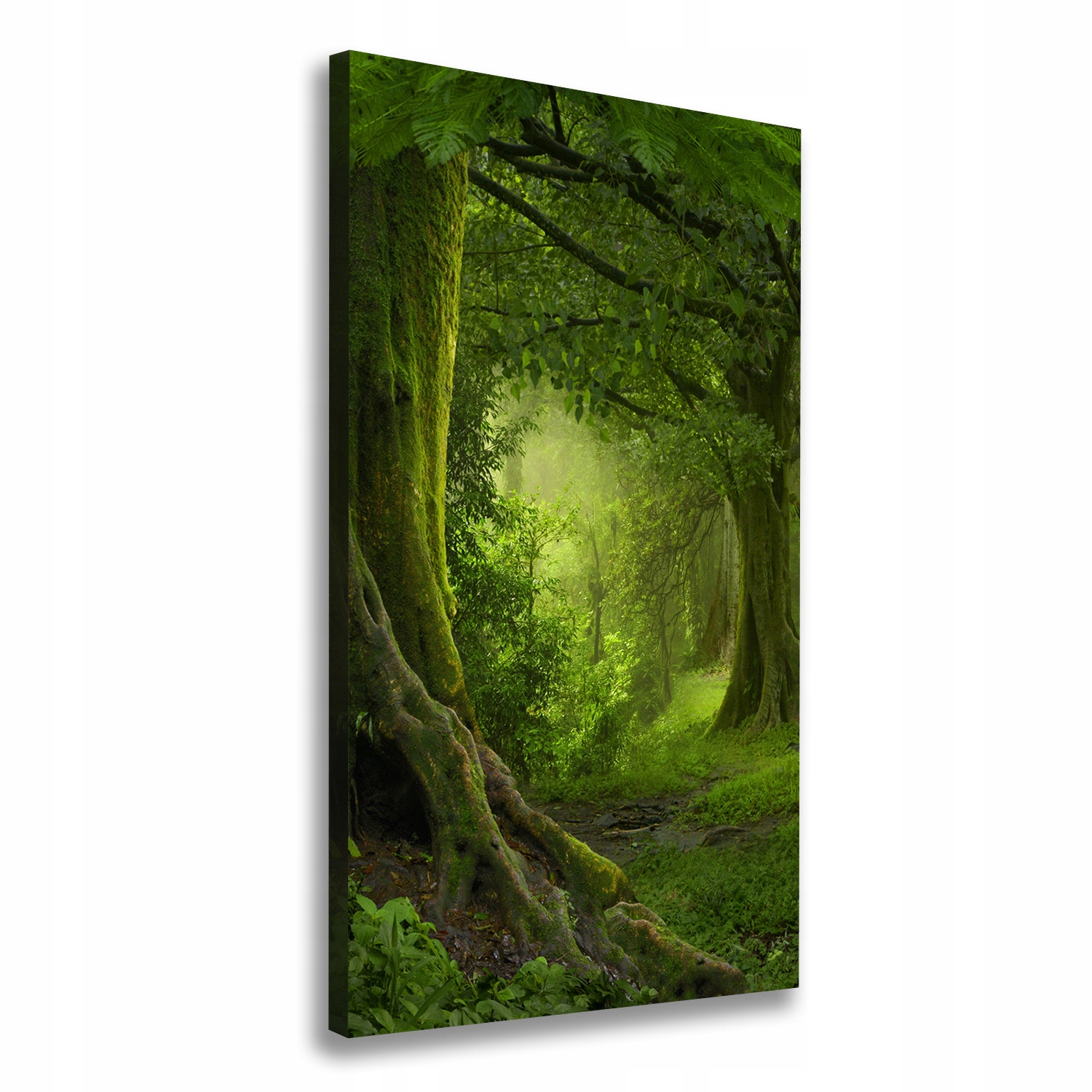 

Foto obraz na płótnie Tropikalna dżungla 60x120 cm