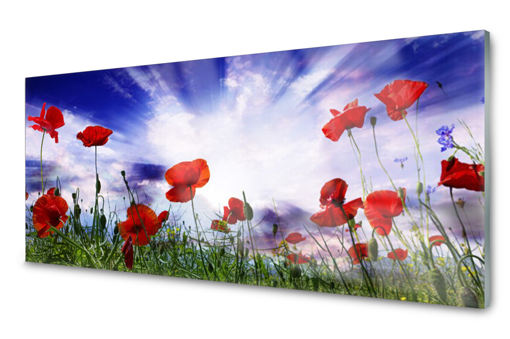 

Panel szklany do kuchni Maki Roślina 125x50