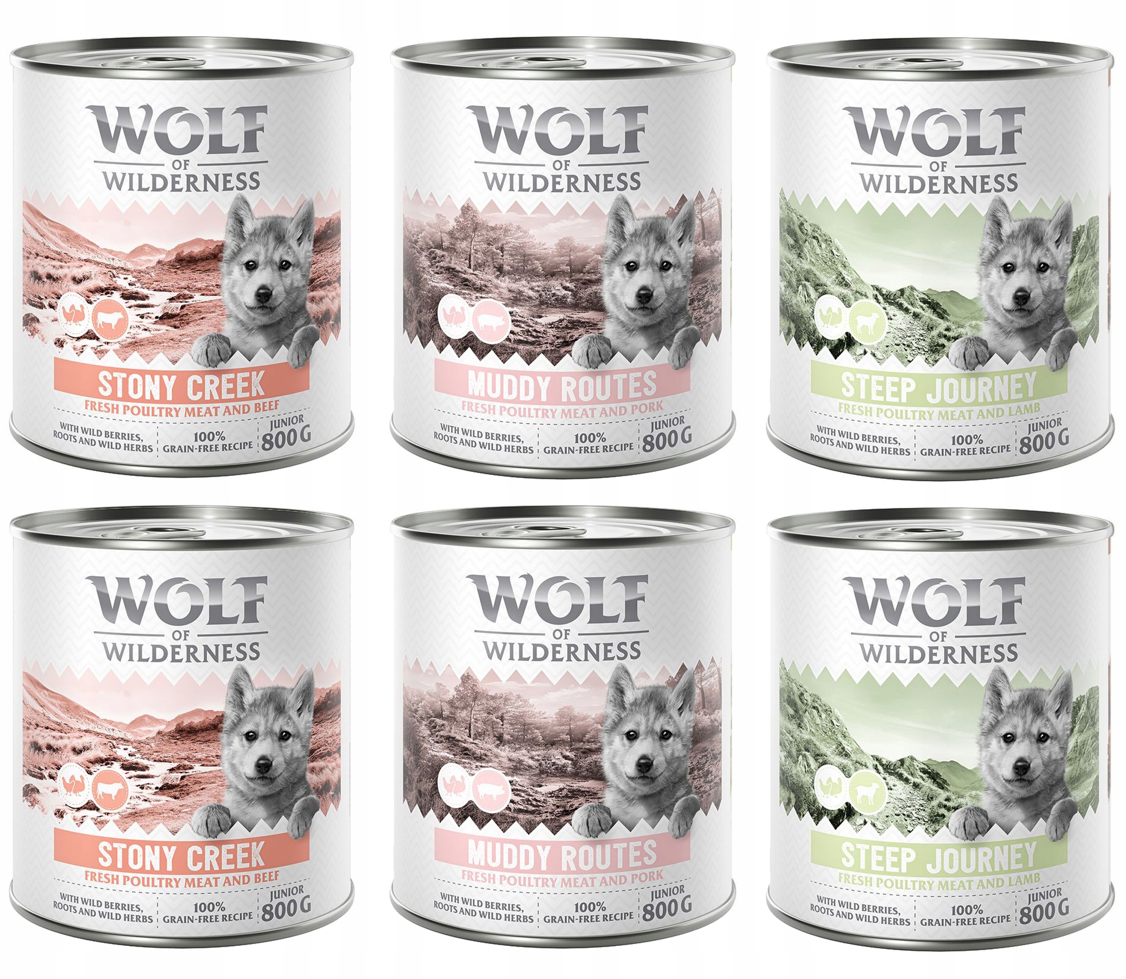 Wolf of Wilderness Junior “Expedition”, MIX Smaków 6 x 800 g