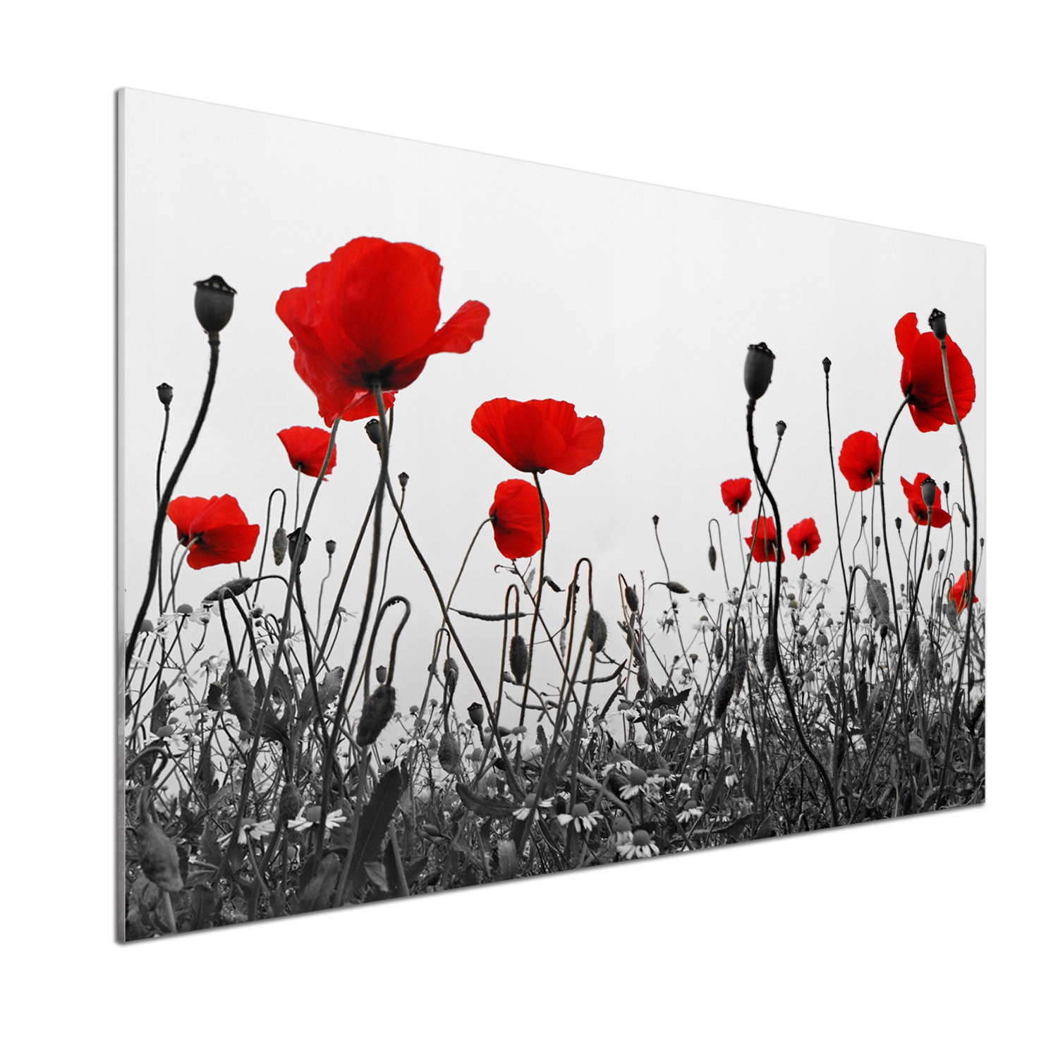 Nástěnný panel tvrzené sklo Maki 100x70 cm Lepidlo