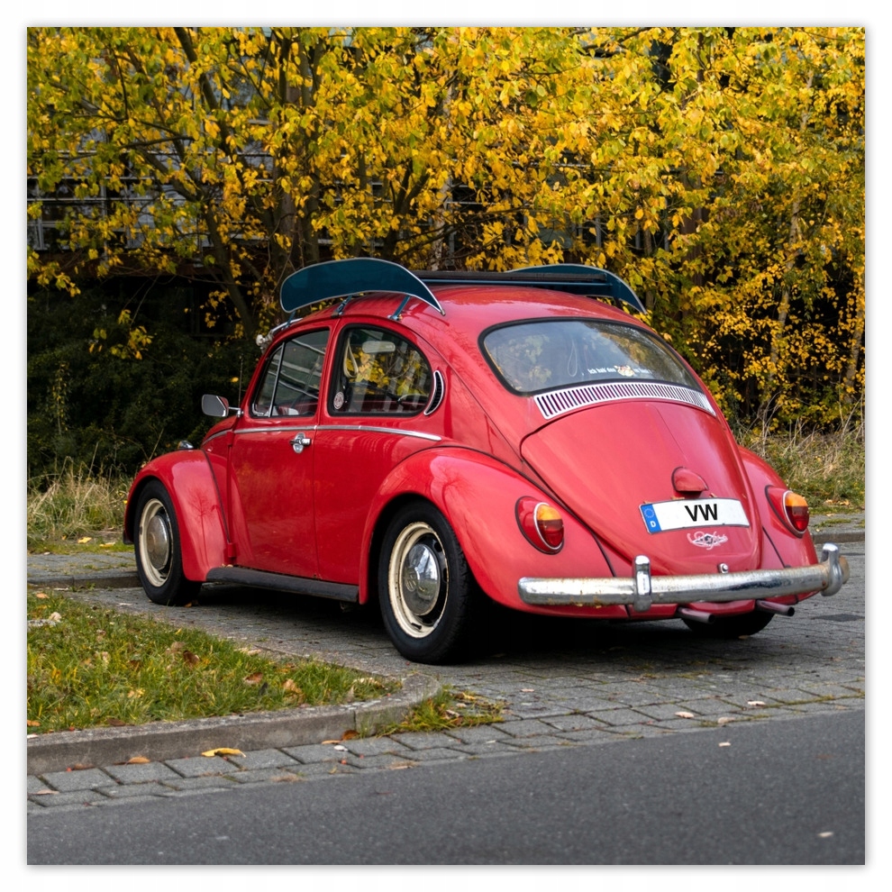 

Fototapety flizelina 208x208 Garbus Volskwagen Vw