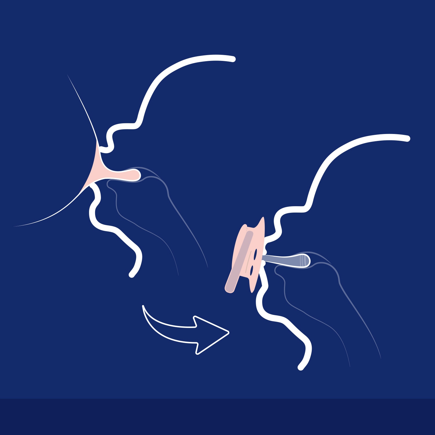 LOVI SMOCZEK DYNAMICZNY USPOKAJAJĄCY 0-6m ŚWIECI W CIEMNOŚCI 2szt HEDGEHOG Marka Lovi