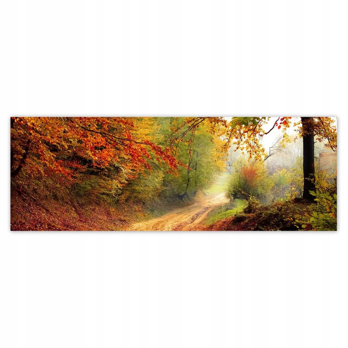 Fototapety 624x219 Droga w lesie jesień