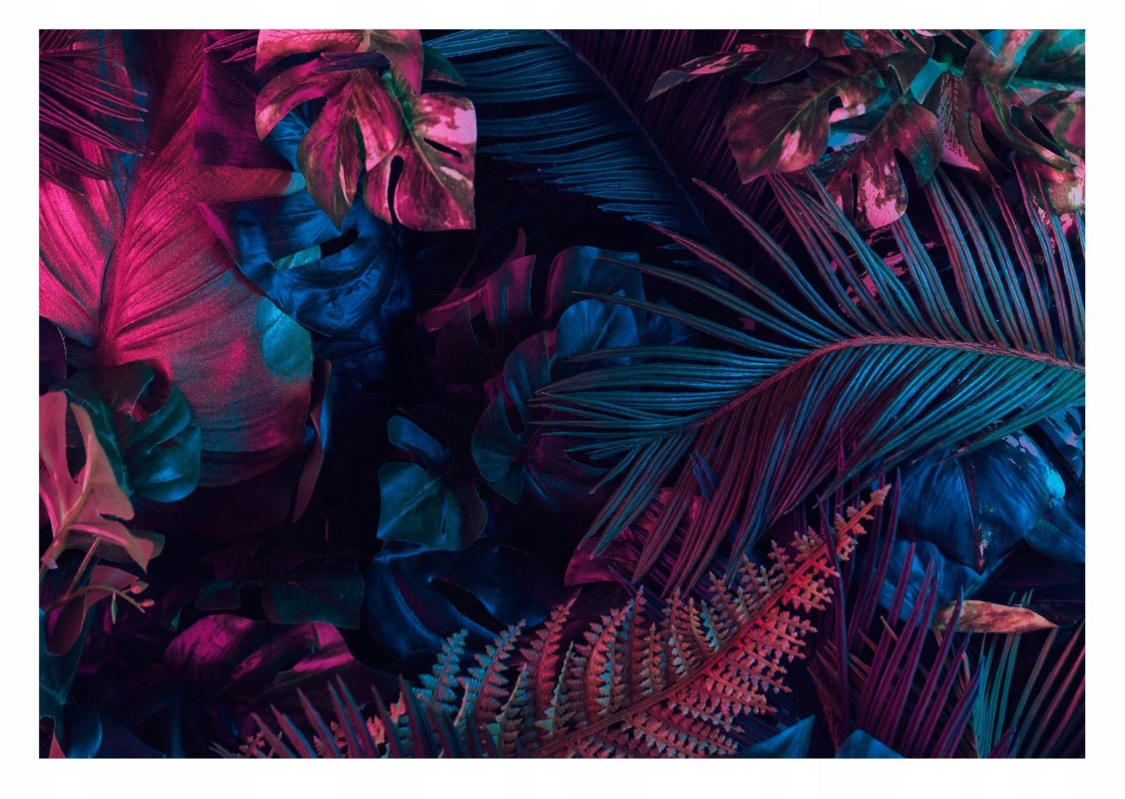 

Fototapeta Mroczna Dżungla Liście Monstera 416x254