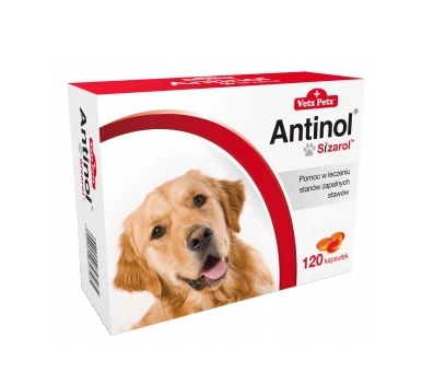 

Biovico Antinol Sizarol 120 tabletek Na Stawy