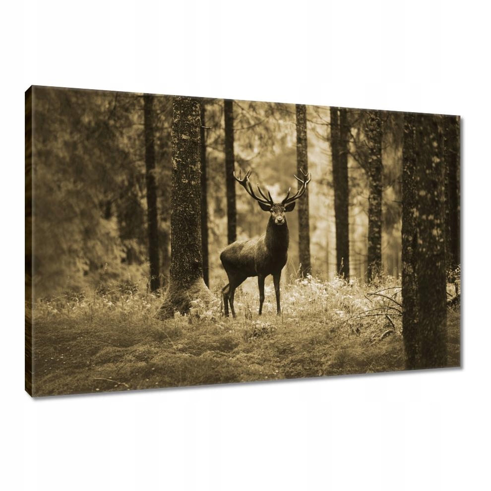 

Obrazy 90x60 Jeleń w lesie Sepia