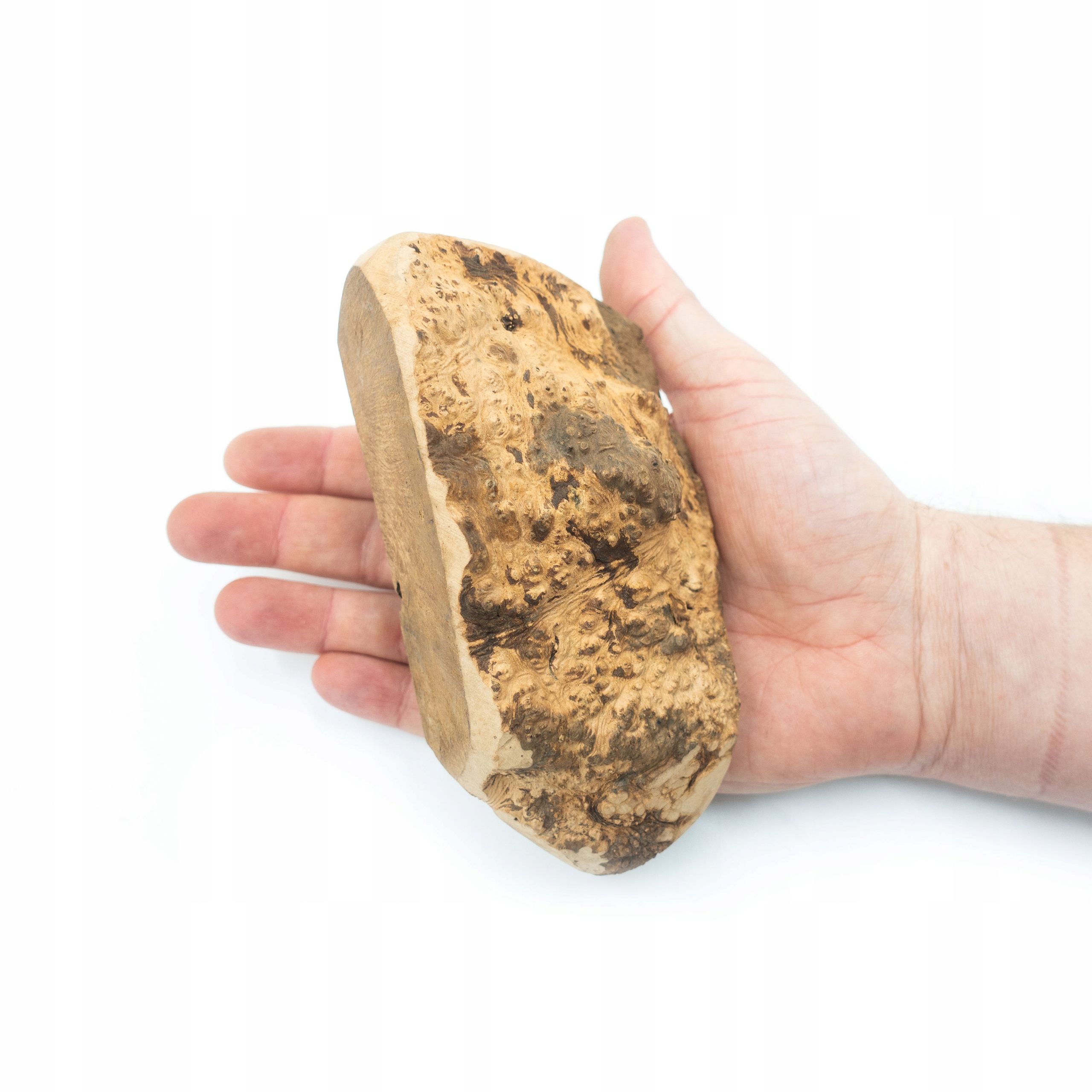 

4DOGS Drewniany gryzak z korzenia wrzośca M