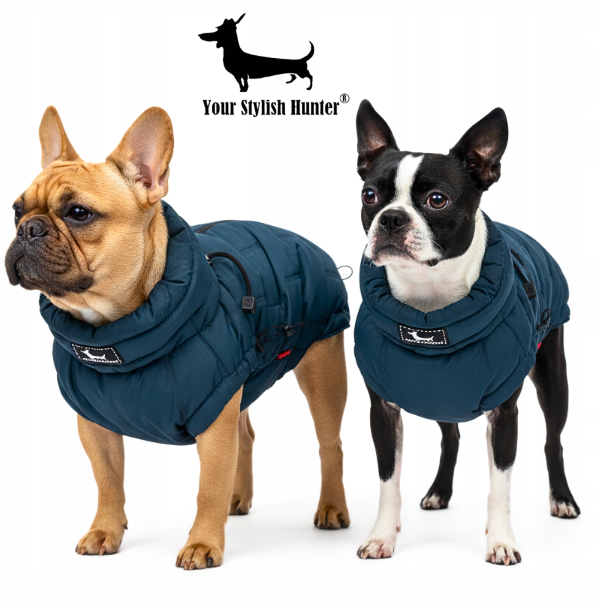 Levně Teplá lehká zateplená bunda pro francouzské buldočky a mopsy, velikost M