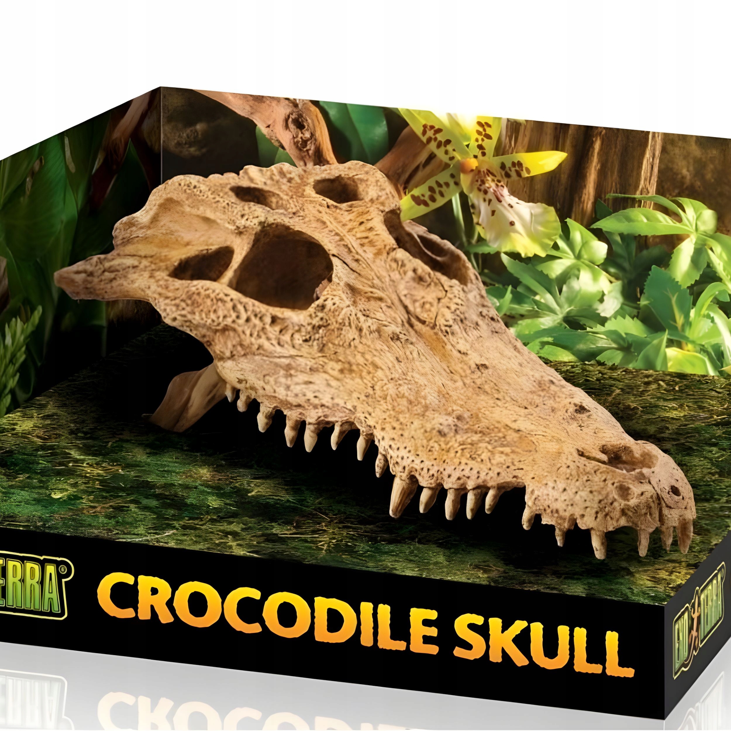 Exo Terra Lebka Lebka EX-8565