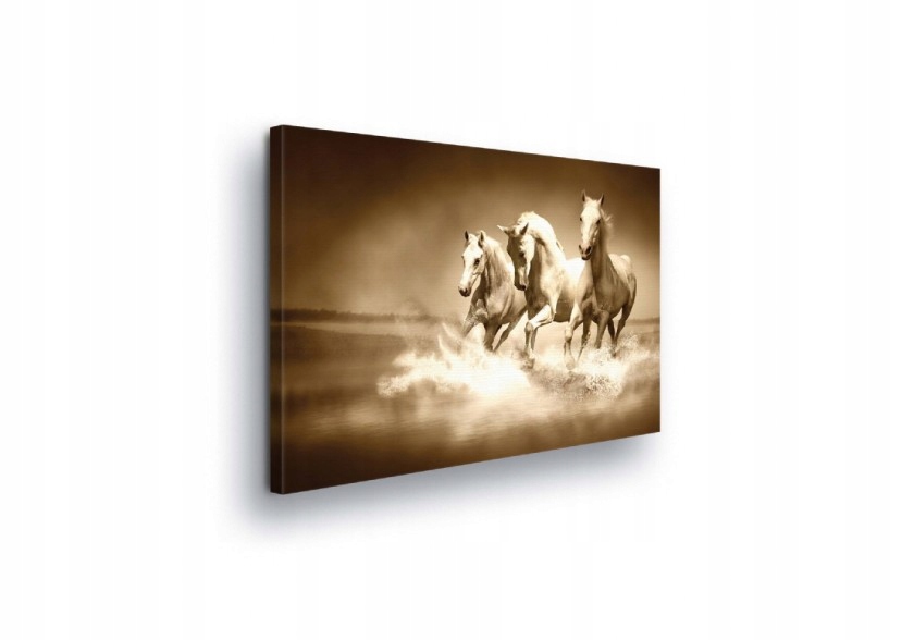Obraz 100x75 Koně běh pohyb voda stříkající rychlost síla svoboda dynamika