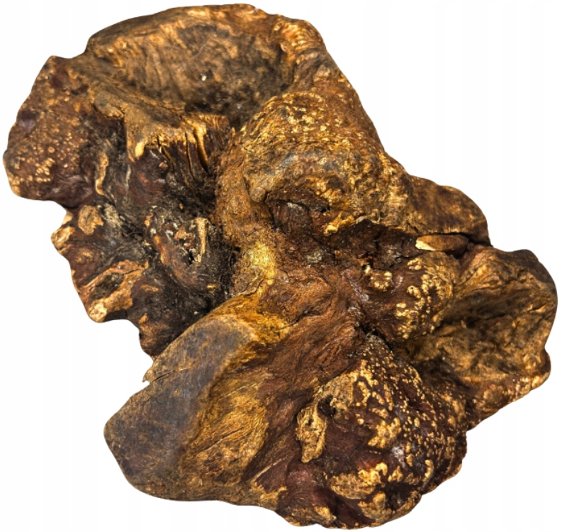 Levně Biotop Kořen vřesu přírodní tvrdé kousátko pro psa vřesovec 750-1000g XXL