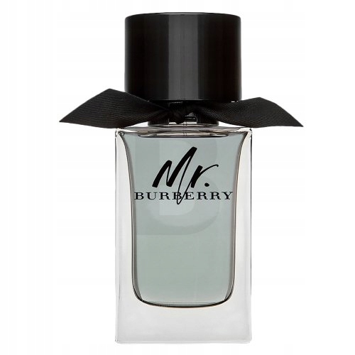 Burberry Mr. Burberry toaletní voda pro muže 100 ml
