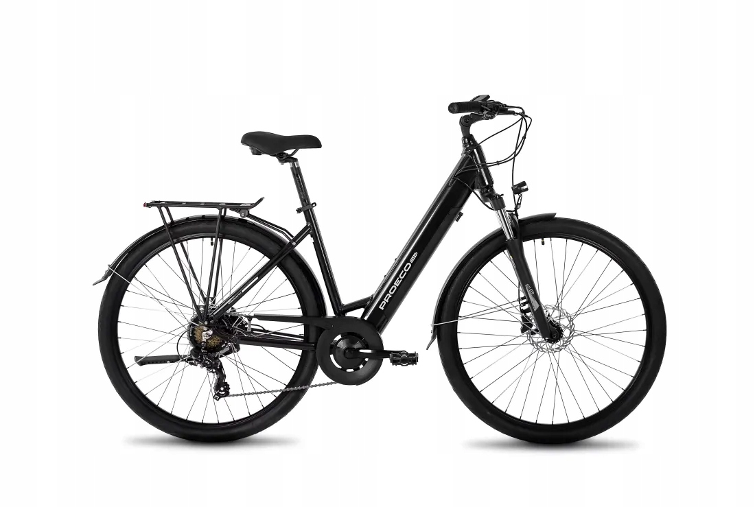 Rower elektryczny Proeco Wave An 1.0 504WH L19'' Grafitowy