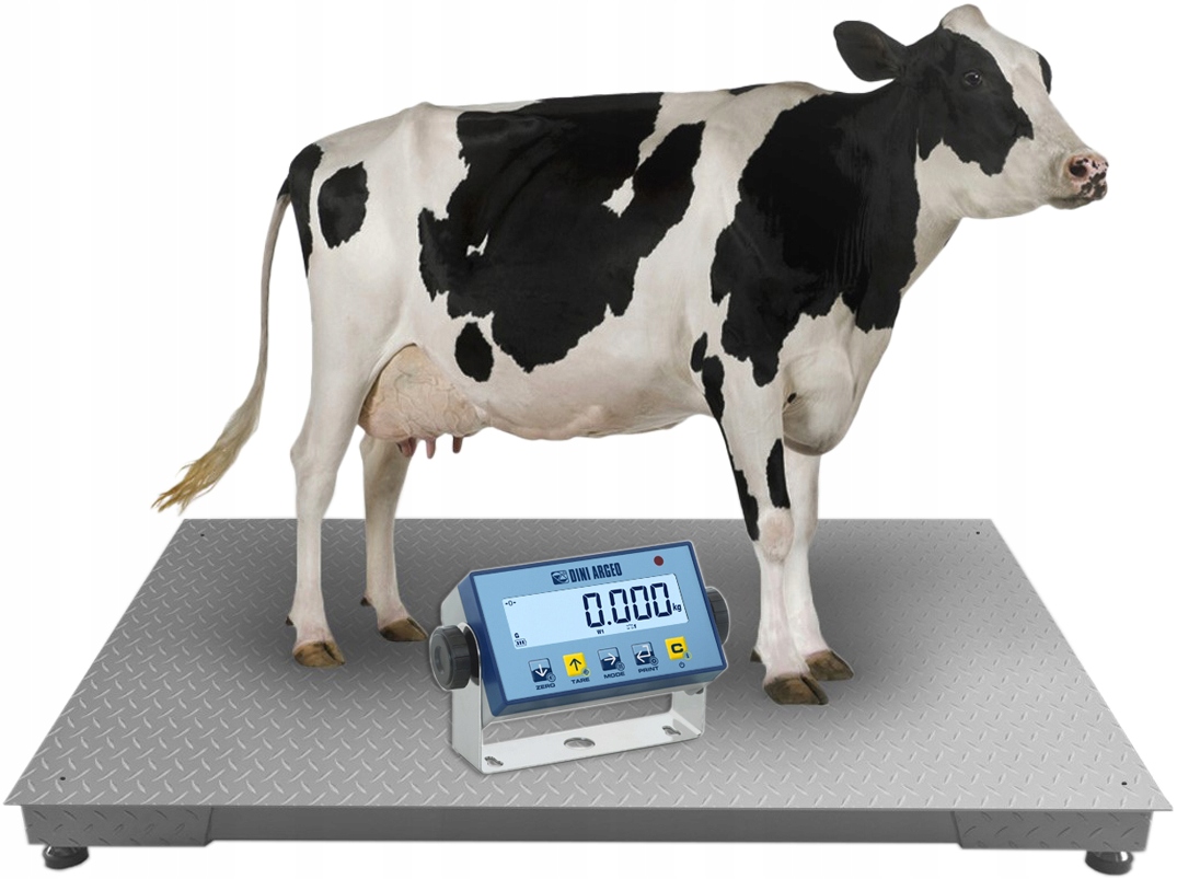 Hospodářská Inventární Váha Pro Dobytek Krav 1,2x2 m 3T Legalizace 2028