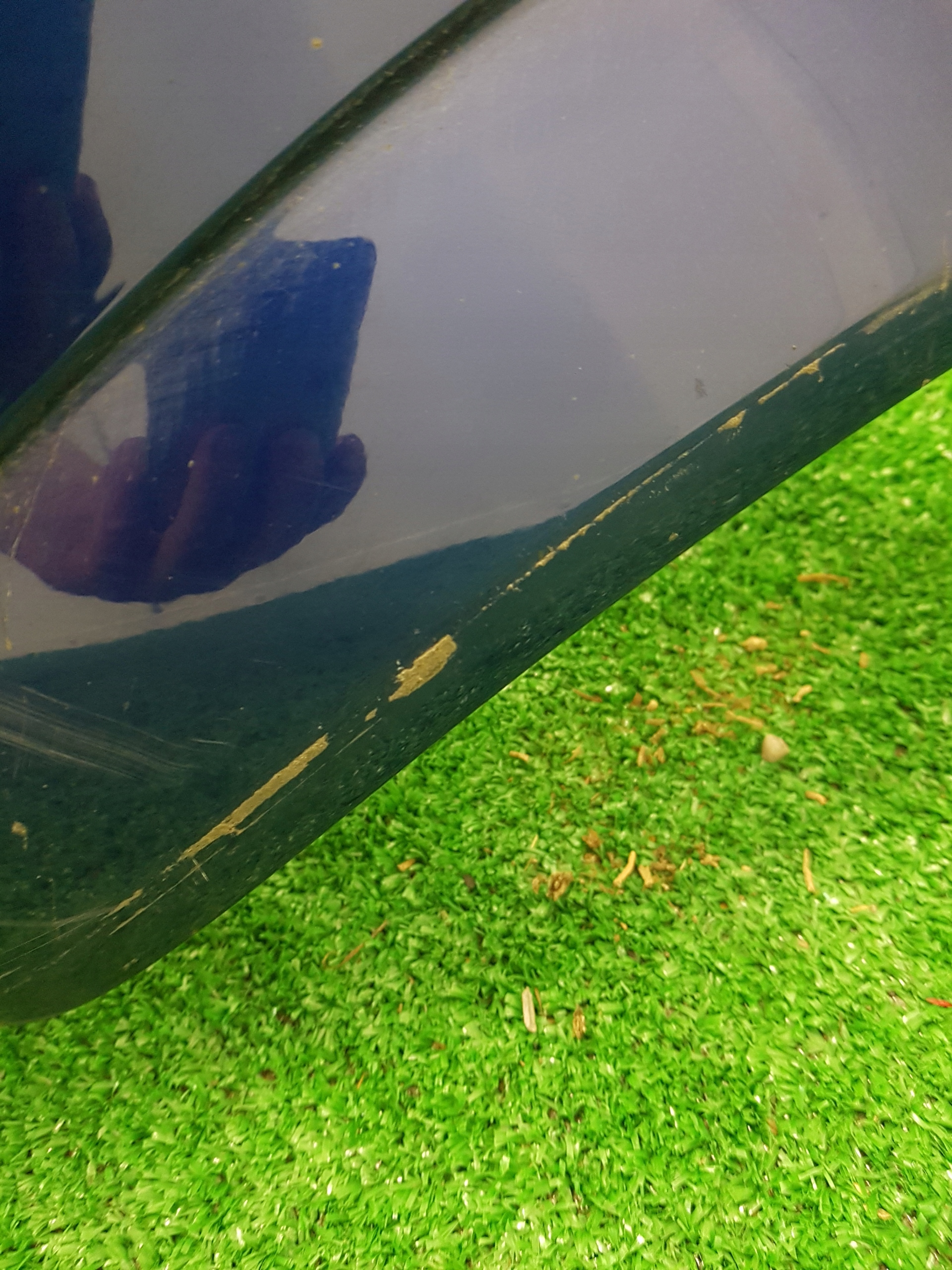 bumper rear part rear OPEL MERIVA A Z21B