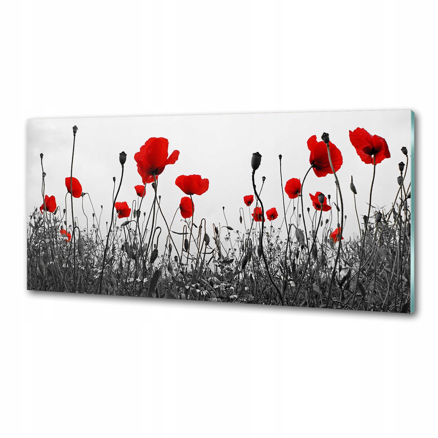 Nástenný panel tvrdené sklo Maki 125x50 cm Lepidlo