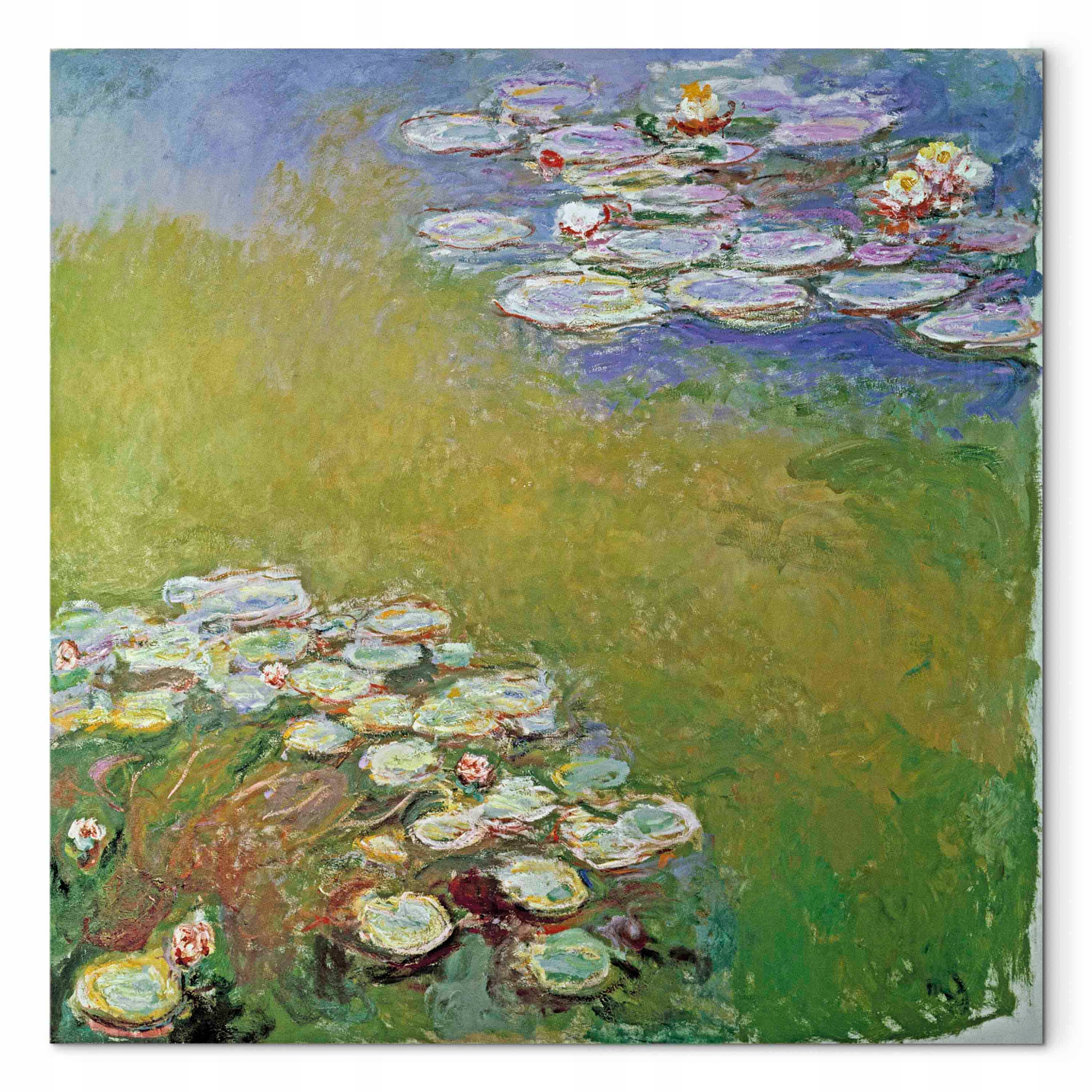 Obraz na plátně canvas Claude Monet Vodní lilie Reprodukce 60x60 cm