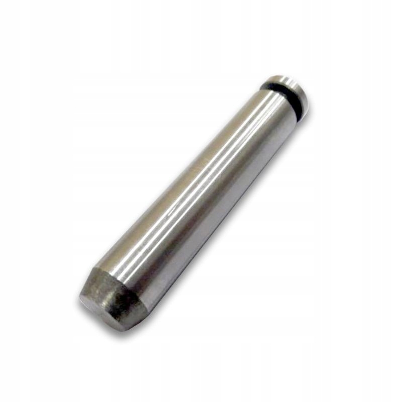 tłok agregatu Control Pro Hea Wagner